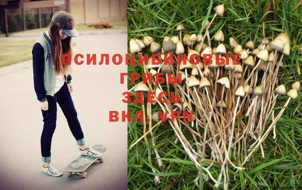 каннабис Аркадак