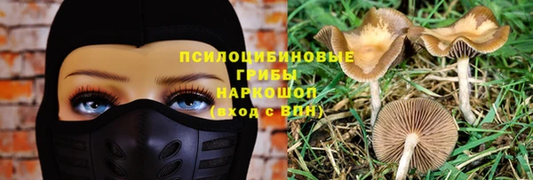 каннабис Аркадак