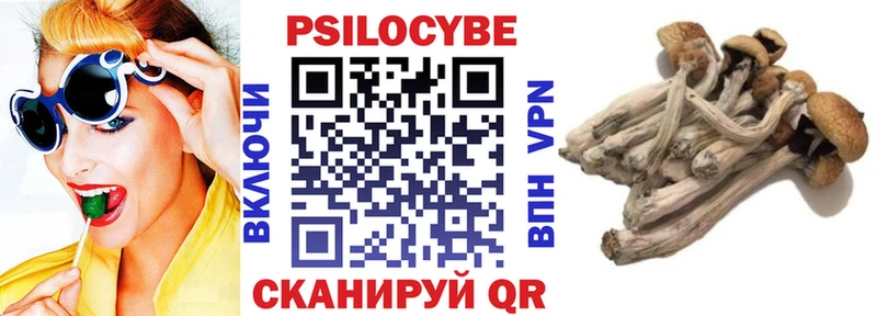 Галлюциногенные грибы Psilocybine cubensis  где купить наркотик  Рыбное 